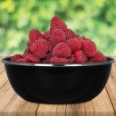 Michelino Campingschalen-Set 2-tlg. schwarz Obstschale Müslischale Schüssel 14,5cm 520ml