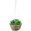 Blumenampel Natur 30x16cm