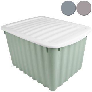 Box Wellington mit Deckel 5,5L Grün 30x20x16 cm